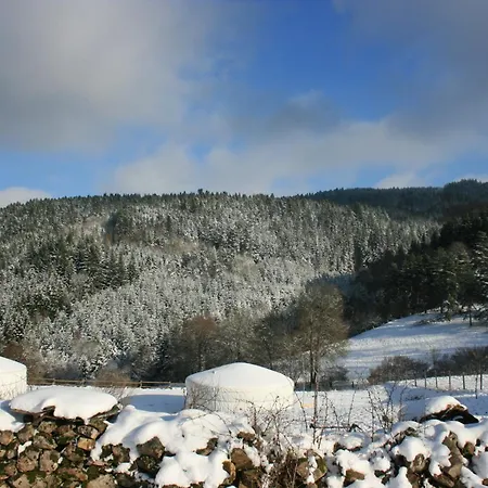 Campo de lujo Yourtes En Terrasse *